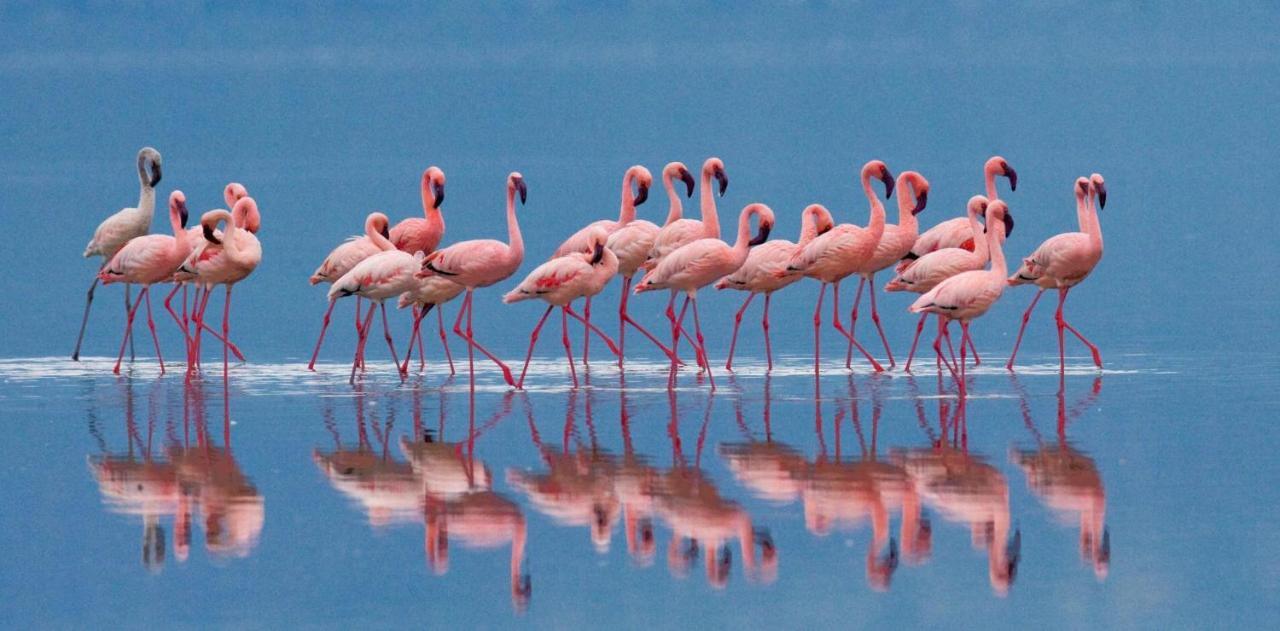 Отель Arya Кальяри Экстерьер фото